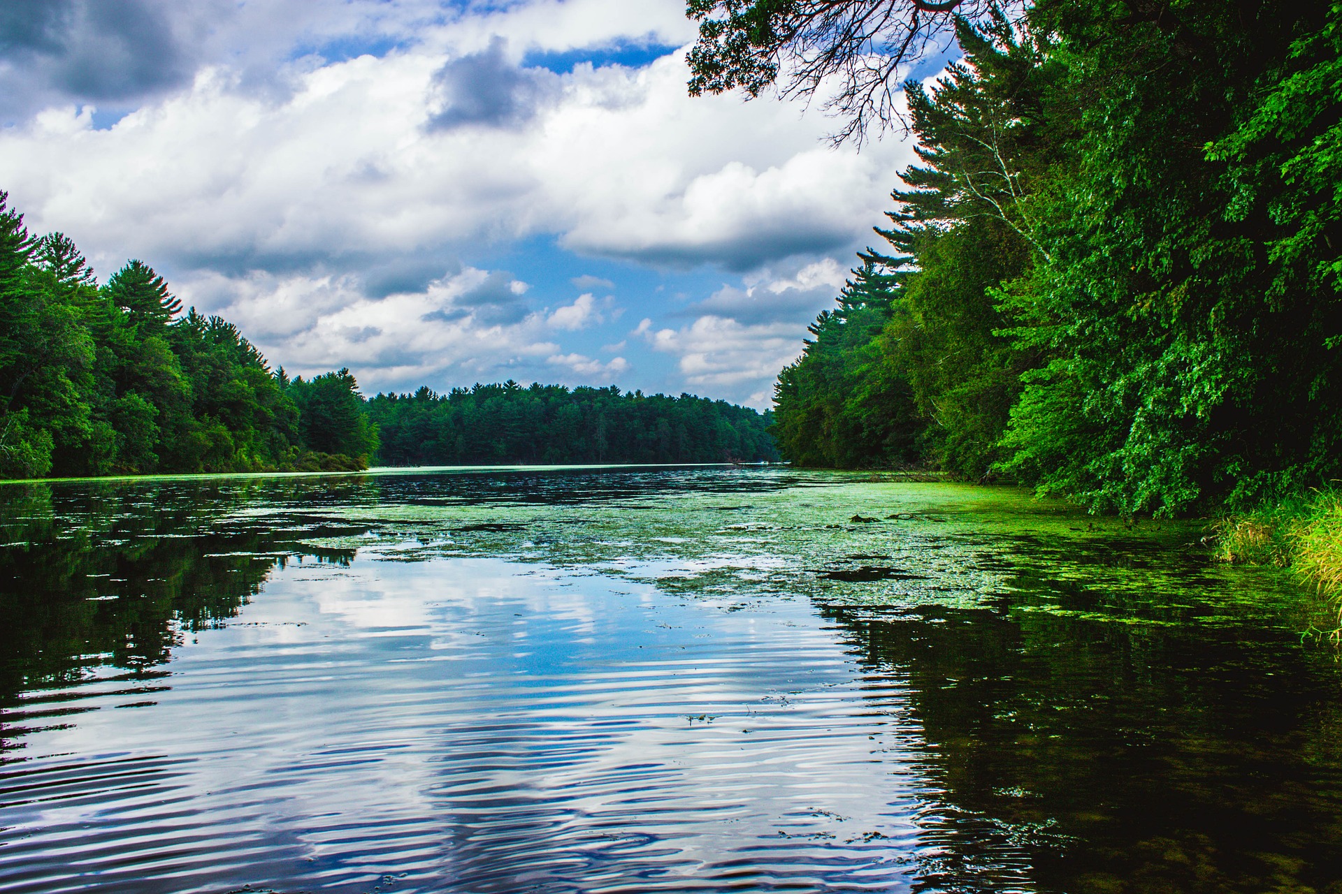 picture of a pond